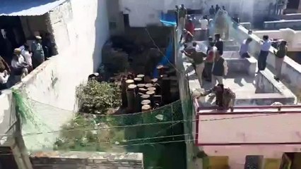 Leopard creates havoc in Indian city before finally being caught