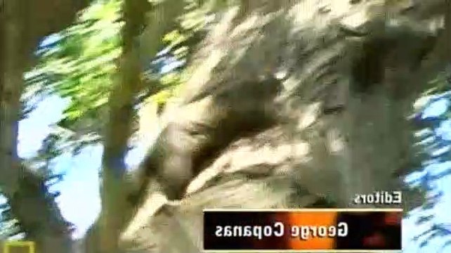 Dog Whisperer S03E05 Maya, Sara and Lilly