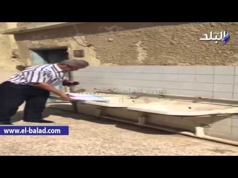 صدى البلد | الاهمال في مدرسة جمال عبد الناصر.. مقاعد مكسورة ودورات مياه غير آدمية.