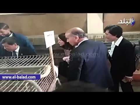 صدى البلد | وفد جامعة شييان الصينية يتفقد مزارع الإنتاج الحيوانى بزراعة مشتهر