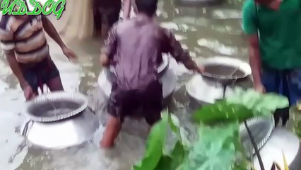 Net Fishing inThe Pond HD