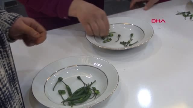 Bitlis 8 Mart Dünya Kadınlar Günü'nü, Yarışarak Kutladılar