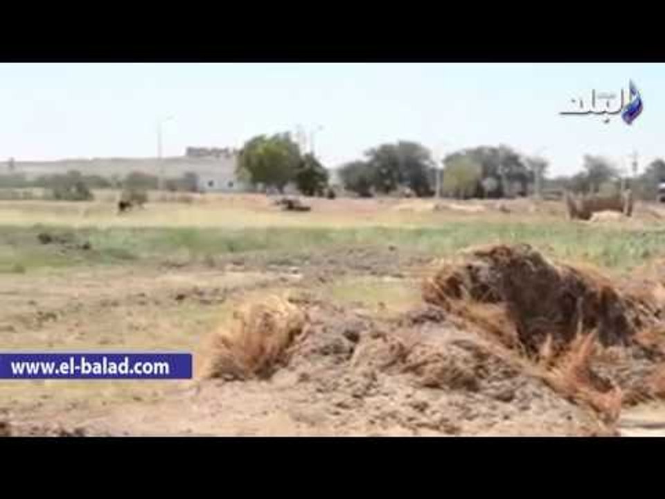 صدى البلد | ورشة عمل لتنمية المهارات الحرفية لطلاب كلية التربية بالوادي الجديد