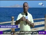 صدى البلد |أحمد موسى : أعشق الفسيخ جدا