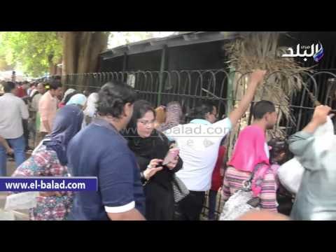 صدى البلد | إقبال كبير للمواطنين على حديقة الحيوان بالجيزة فى شم النسيم