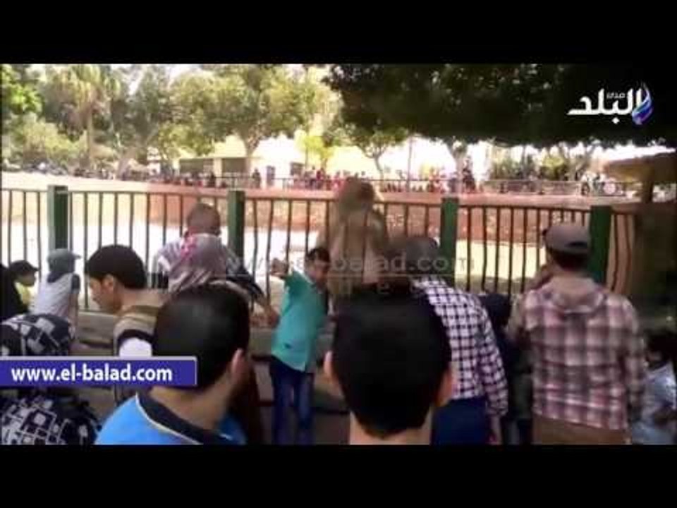 صدى البلد | "السكندريين" يتوافدون على حديقة الحيوان لقضاء عطلة "شم النسيم"
