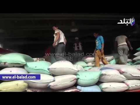 صدى البلد | توافد الفلاحين على شون ومطاحن الدقهلية لتوريد القمح