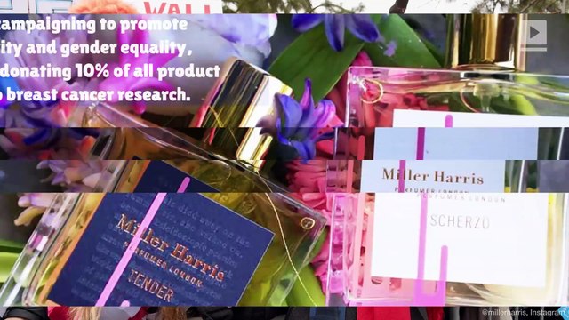 6 Beauty Brands Supporting International Women’s Day