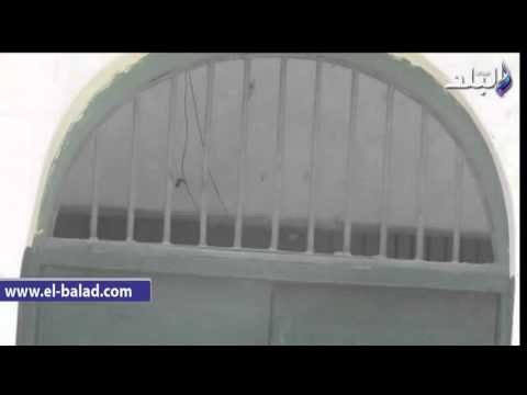 صدى البلد |حديقة حيوان الفيوم تغلق بيت الأسد أمام الزوار «بالضبه والمفتاح»