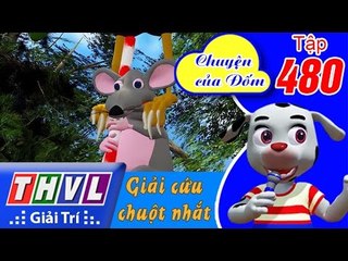THVL | Chuyện của Đốm - Tập 480: Giải cứu chuột nhắt