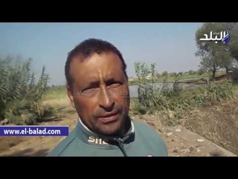صدى البلد | «نقص المياه» يهدد محاصيل الأرز بالدقهلية.. والفلاحون يستغيثون:«الأرض عطشانة»