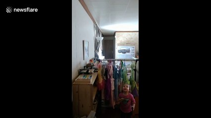 Montana mom enters room to find her cat stuck in a hole in the wall