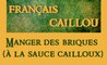 Français caillou / Définition du jour : Manger des briques (à la sauce cailloux)