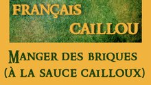 Français caillou / Définition du jour : Manger des briques (à la sauce cailloux)