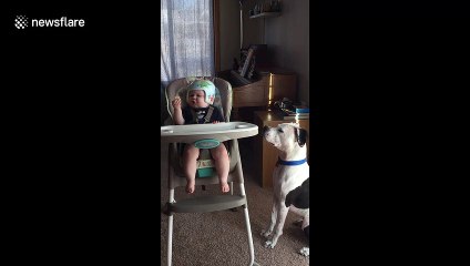 Baby gives dog a cookie and then is sad it's gone