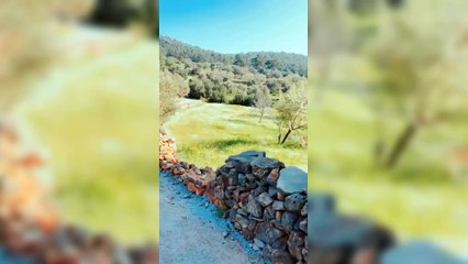 Gizem Karaca Arkadaşlarıyla Eğlenceli Anlar Paylaştı! 🎉