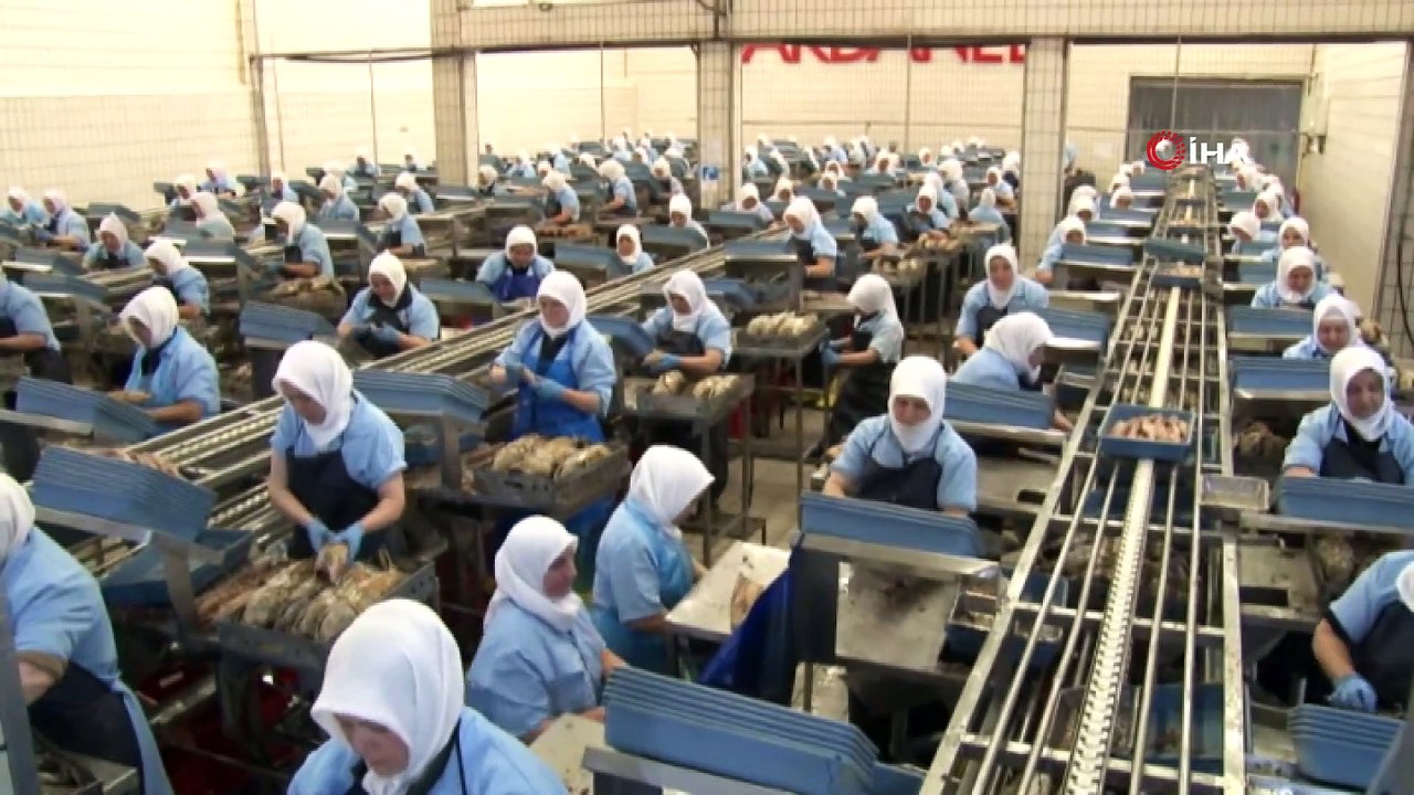 Dardanel Çanakkale fabrikasında istihdam önceliğini kadınlara tanıyor