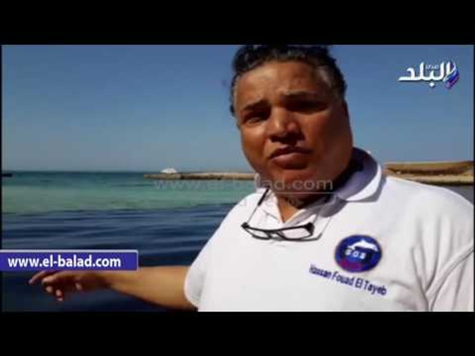 صدى البلد | "الانقاذ البحرى": حذرنا من تسربات البترول وطالبنا بوضع حواجز في البحر الأحمر