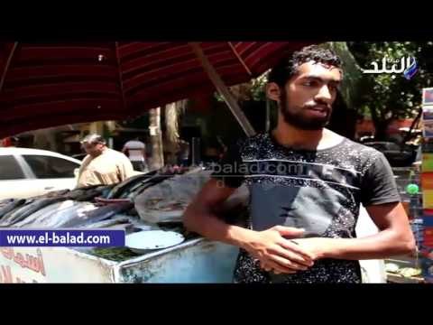 صدى البلد | ننشر أسعار الأسماك استعدادا لعيد الفطر