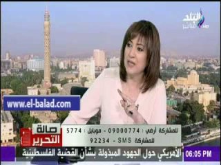 صدى البلد |برلمانى : النظام الانتخابى فى الدستور مرن للغاية