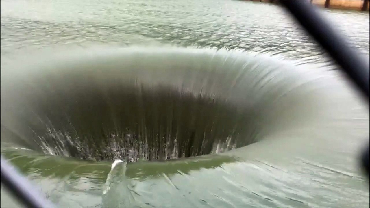 Ce petit canard se fait avaler par un trou d'eau... Adieu