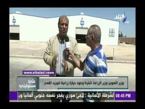 صدى البلد | وزير التموين: هناك 4 جهات مسئولة فقط عن استلام القمح