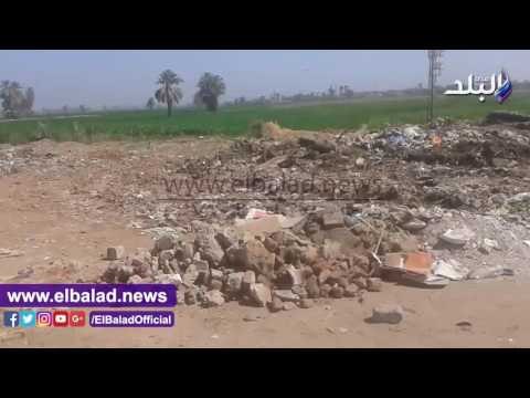 صدى البلد | مجلس «المنشاة» بسوهاج يلقي قمامة المدينة بمنطقة أخرى