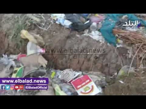 صدى البلد | تلال القمامة تلغي شعار حلوة يابلدي ببني سويف