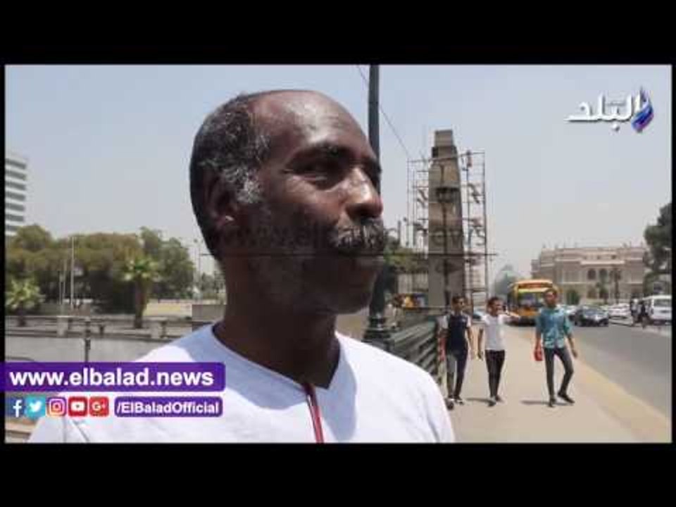 صدى البلد | أغرب تعليقات المصريين عن أسدين كوبري قصر النيل