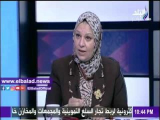 صدى البلد |صباح مشالى: وقف نظام الممارسات فى الكهرباء