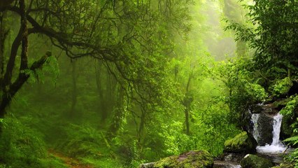 快眠、ソルフェジオ周波数、メラトニン分泌、疲労回復、ヒーリング、熟睡音楽