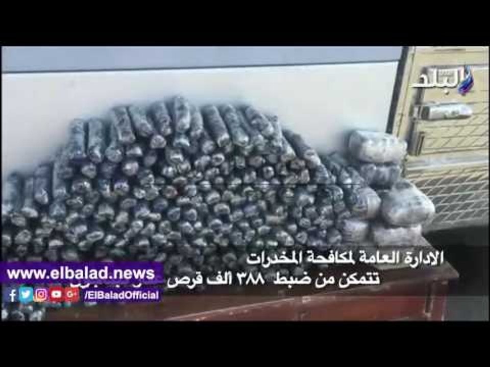 صدى البلد | إحباط تهريب 388 ألف قرص من عقار «كب...