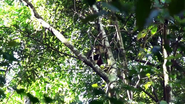 Thiền Viện Trúc Lâm Bạch Mã - 1 Trong 8 Thiền Viện Đẹp Nhất Việt Nam