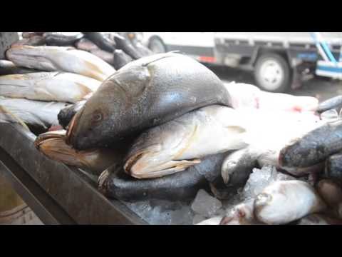 صدى البلد | أسعار الخضروات والفاكهة واللحوم فى الأسواق استعدادا للعيد