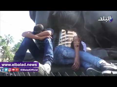 صدى البلد | النوم ما يحلاش إلا بجانب أسود قصر النيل