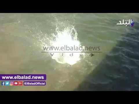 صدى البلد | شاب يقفز فى المياة من أعلى كوبرى قصر النيل