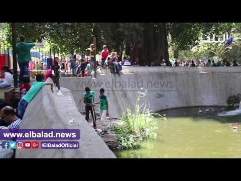 صدى البلد | القمامة تملأ بحيرة حديقة الحيوان وسط تجاهل شركة النظافة