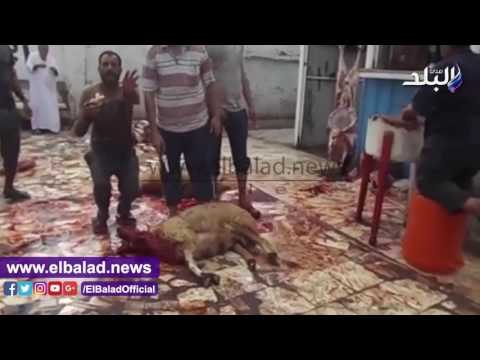 صدى البلد | مواطنو الدقهلية يذبحون الأضحية احتفالا بالعيد
