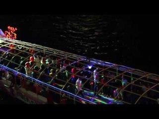 صدى البلد |  عروسة تحتفل بزفافها مع المواطنين علي الكورنيش .