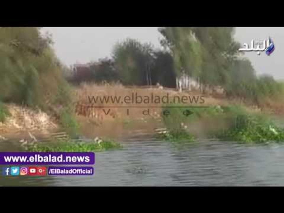 صدى البلد |  أزمة نفوق الثروة السمكية بمياه نهر...