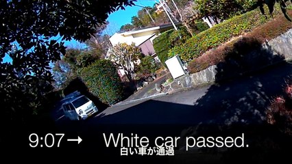 EDR March #8 2019 Dubious White Car and ShibaInu Man