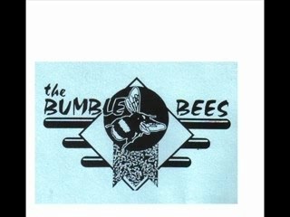 Bumble bees