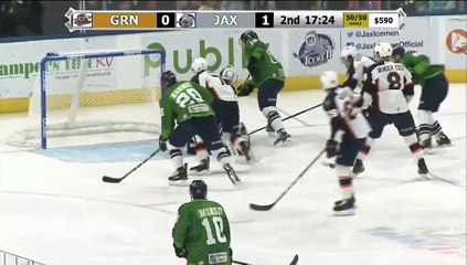 ECHL Greenville Swamp Rabbits 2 at Jacksonville Icemen 3
