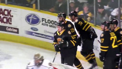 AHL Hershey Bears 2 at Providence Bruins 3 in SO