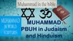 The absolute truth about Muhammad in the Bible, Judaism and Hinduism Old Scriptures