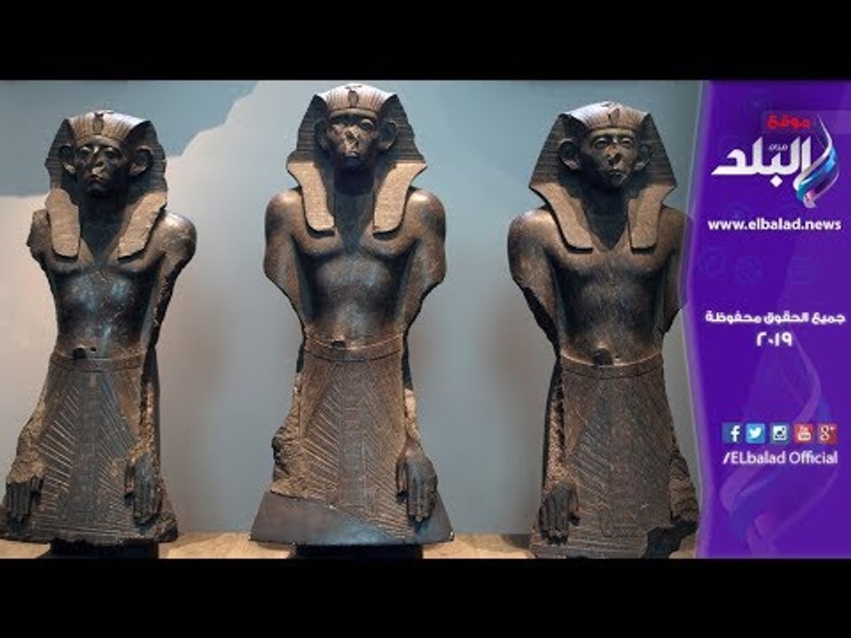 صدى البلد | ضبط 336 قطعة أثرية قبل الإتجار بها...
