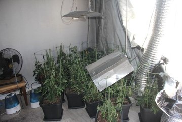 Rezidansta Kenevir Serası Kuran Üniversiteliyi Yangın Ele Verdi