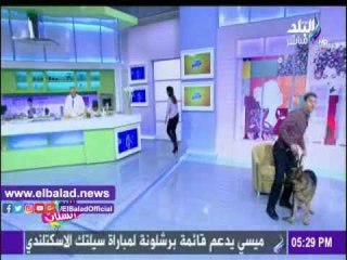 صدى البلد |دينا رامز تداعب كلبا على الهواء