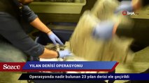 Atatürk Havalimanı’nda 23 yılan derisi ele geçirildi