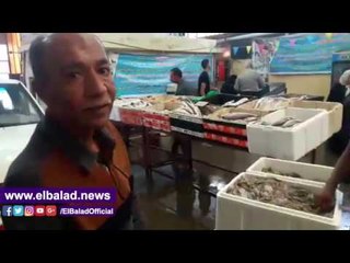 بائع أسماك ببورسعيد: جمبرى شرق التفريعة بـ160 جنيها.. ومواطن: معاشي يجيب 2 كيلو